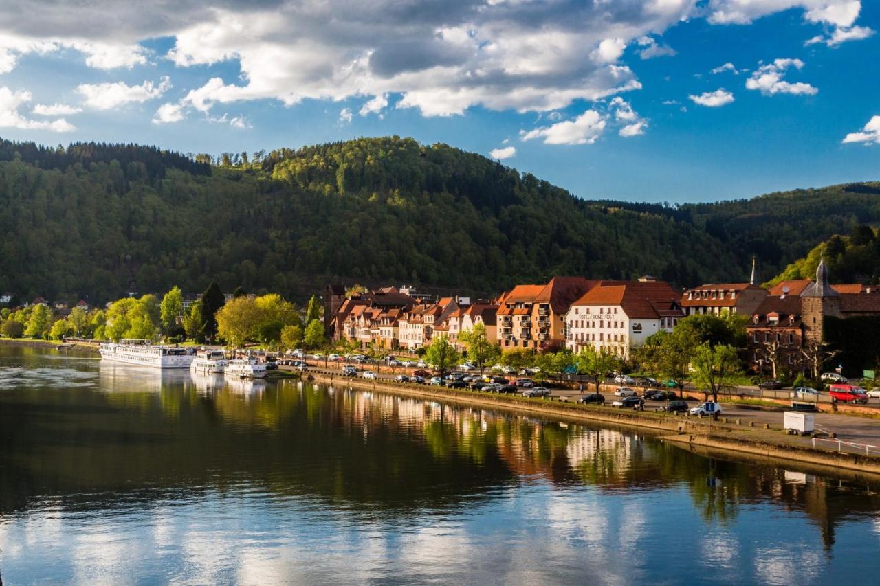 Hideaway Im Odenwald Nahe Heidelberg Apartment Eberbach  Luaran gambar